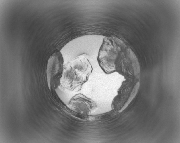 X0000052940565200508050859