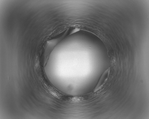 X0000052940566200508050859