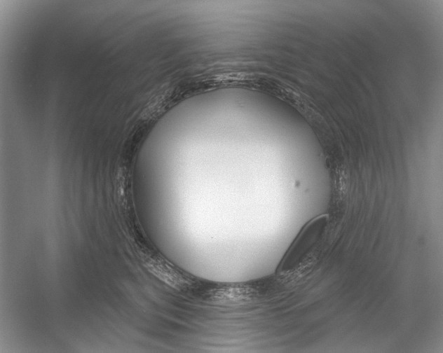 X0000052940567200508050859