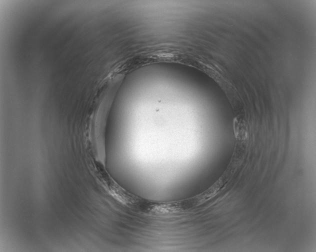 X0000052940568200508050859