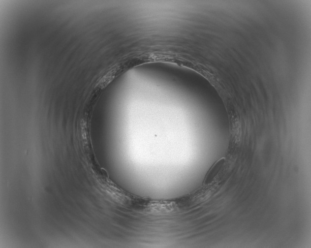 X0000052940571200508050859