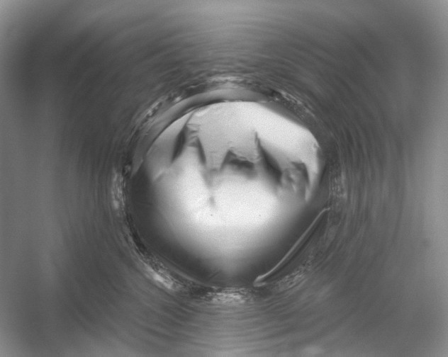 X0000052940572200508050859