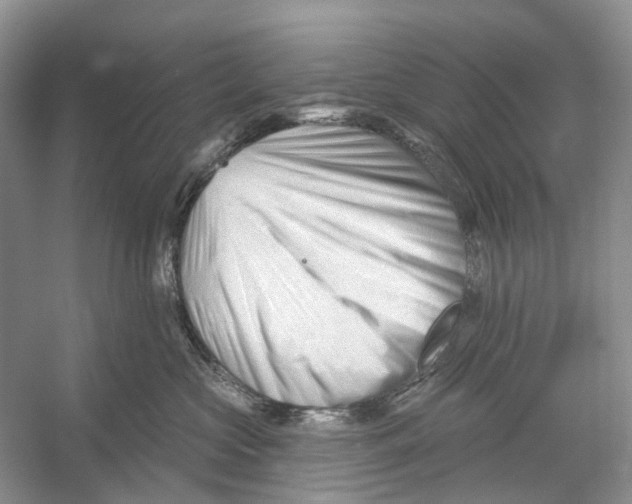 X0000052940573200508050859