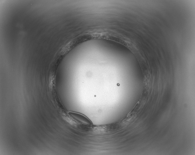 X0000052940574200508050859