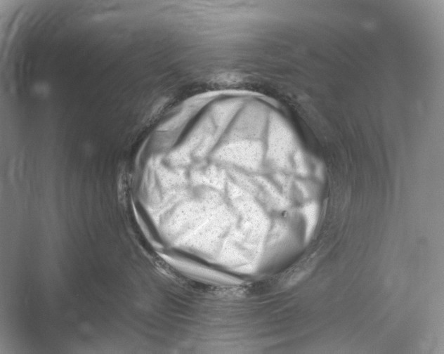 X0000052940576200508050859