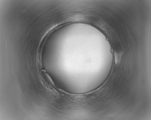 X0000052940579200508050858