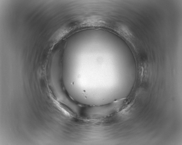 X0000052940581200508050858