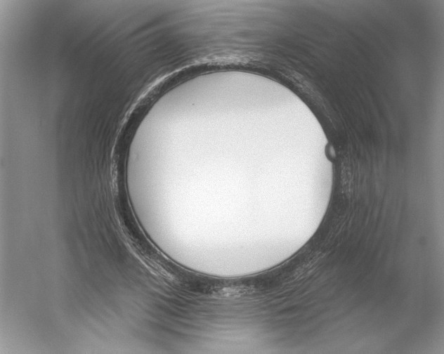 X0000052940584200508050858