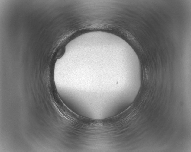 X0000052940588200508050858