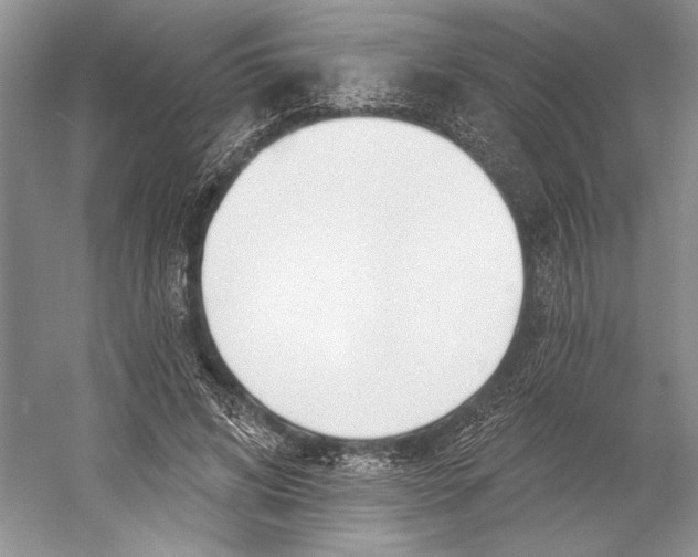 X0000052940592200508050858