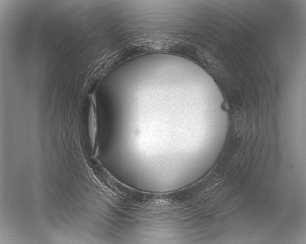 X0000052940594200508050858