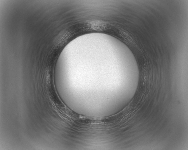 X0000052940595200508050858