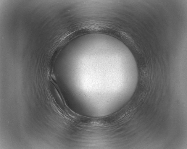 X0000052940596200508050858