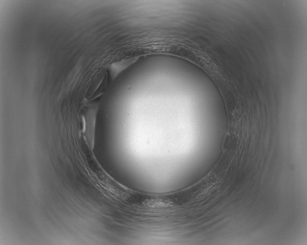 X0000052940597200508050858