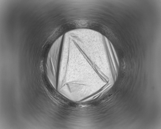 X0000052940598200508050858