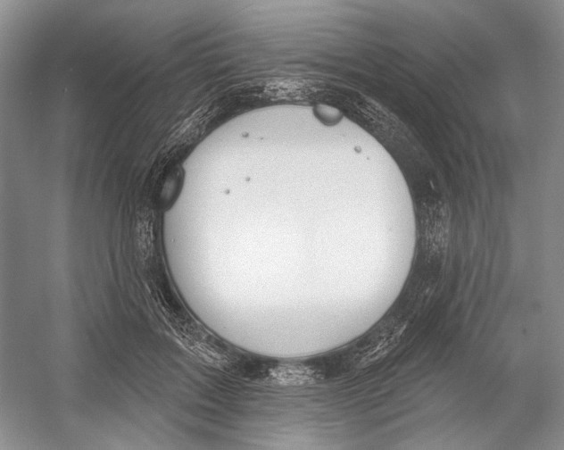 X0000052940603200508050857