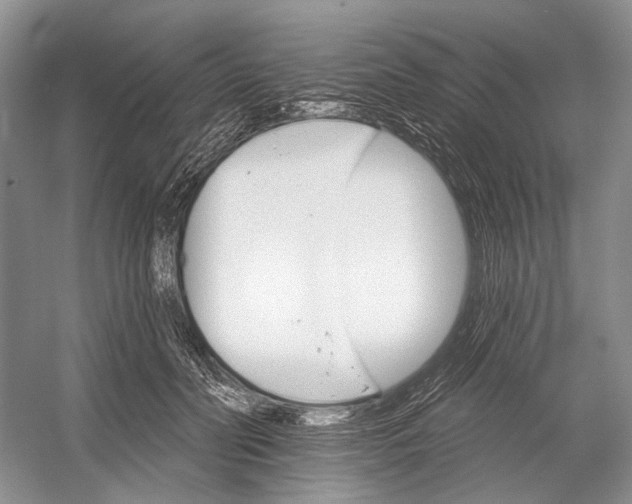 X0000052940606200508050857