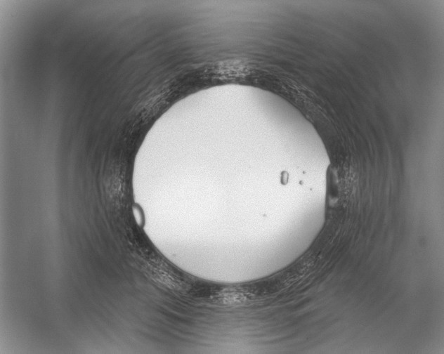 X0000052940608200508050857