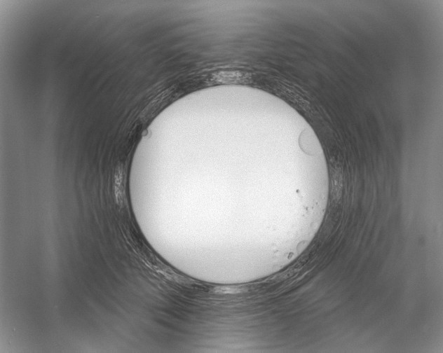 X0000052940610200508050857