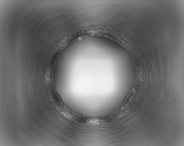 X0000052940611200508050857