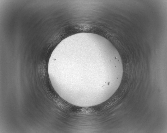 X0000052940612200508050857