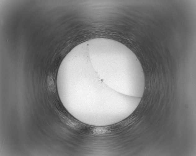 X0000052940614200508050857