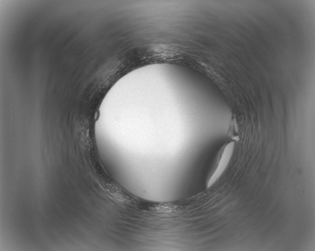 X0000052940615200508050857