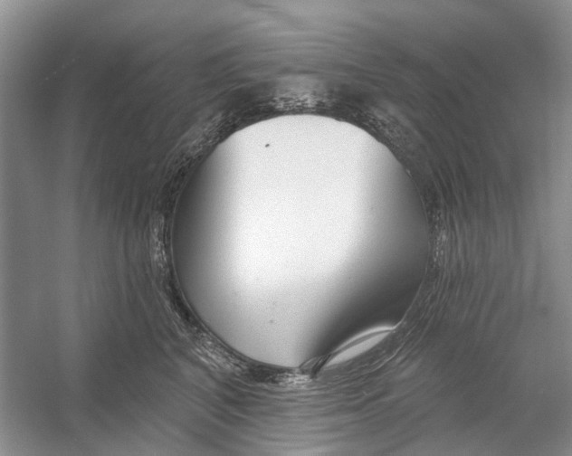 X0000052940616200508050857