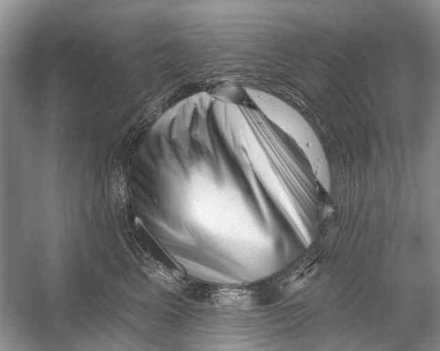 X0000052940617200508050857