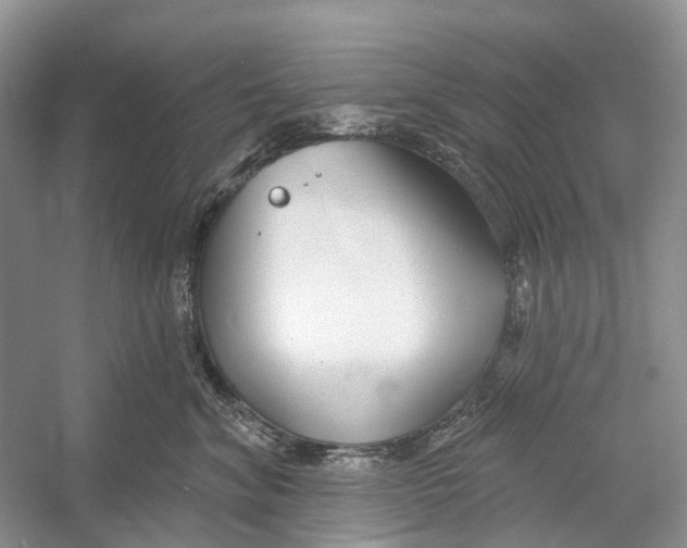 X0000052940620200508050857