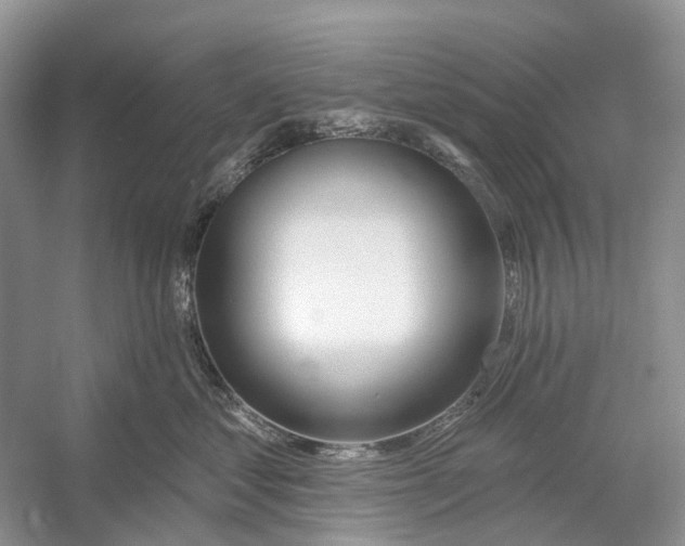 X0000052940621200508050857