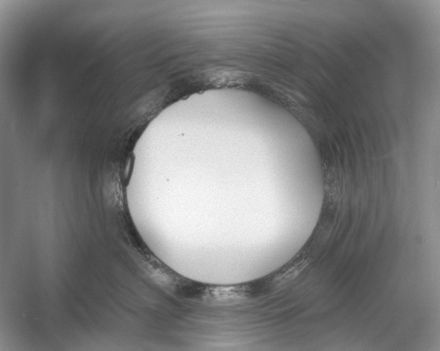 X0000052940622200508050857