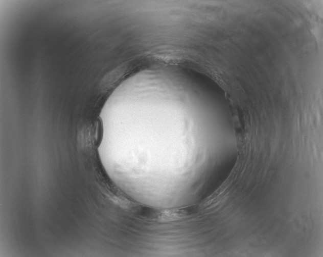 X0000052940623200508050857