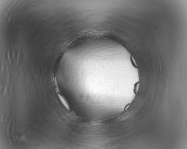 X0000052940624200508050857