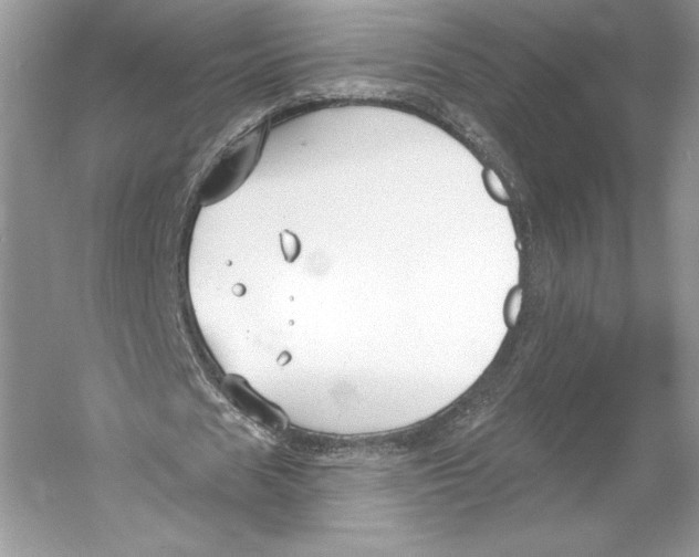 X0000052940625200508050856