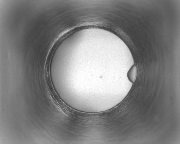 X0000052940628200508050856