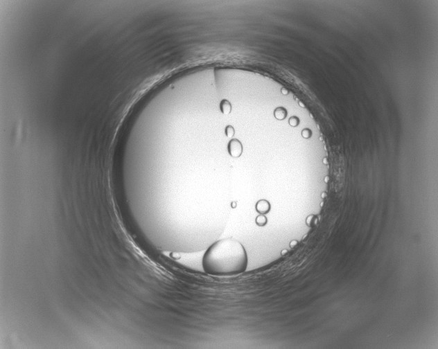 X0000052940629200508050856