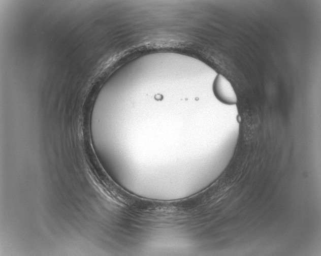 X0000052940631200508050856