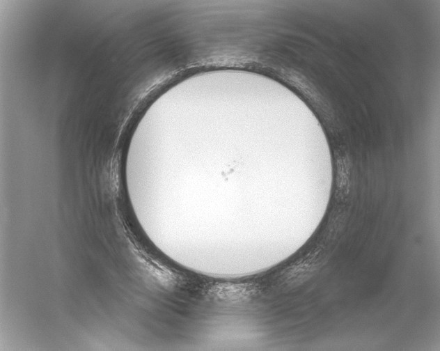 X0000052940632200508050856