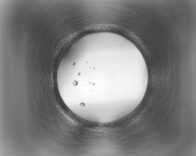 X0000052940633200508050856