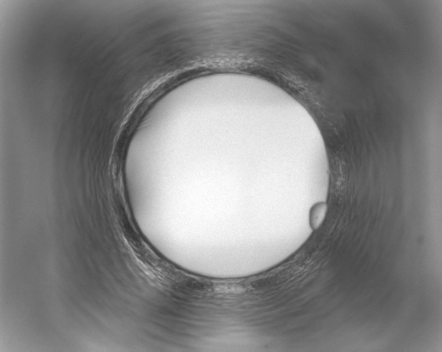 X0000052940636200508050856