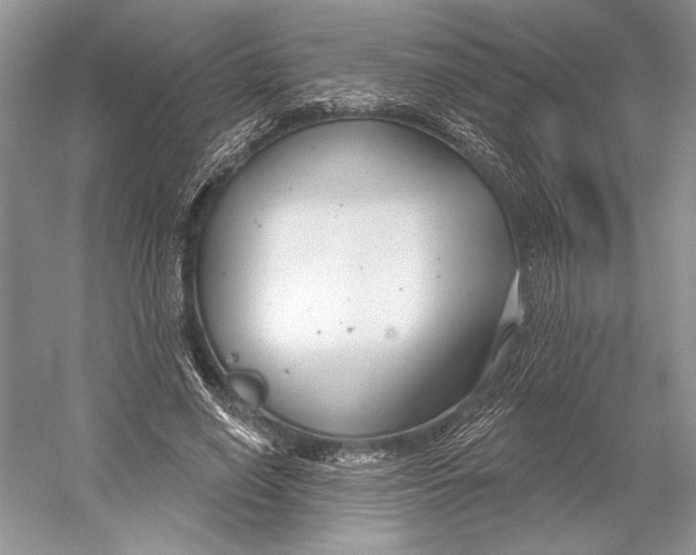 X0000052940638200508050857