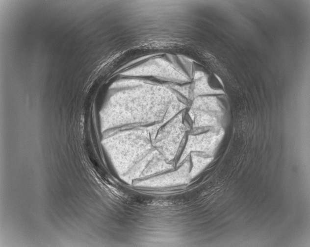 X0000052940640200508050857