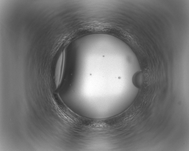 X0000052940642200508050857