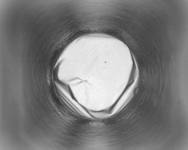 X0000052940644200508050857