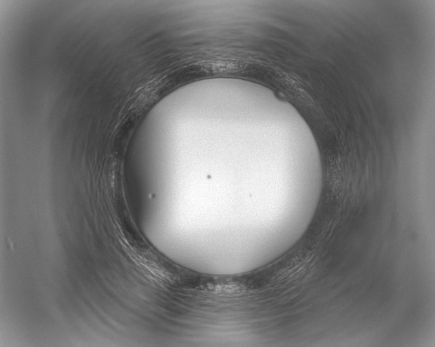 X0000052940645200508050857