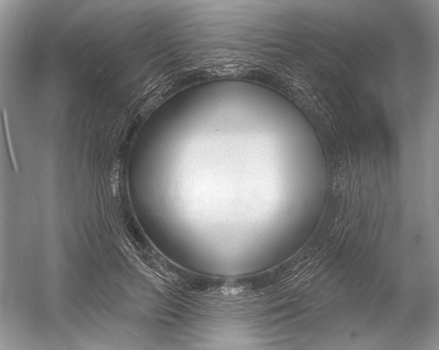 X0000052940647200508050857