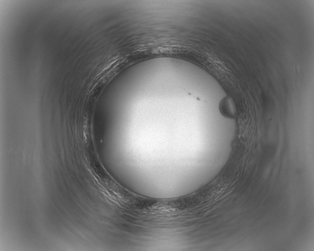 X0000052940648200508050857