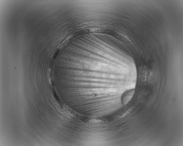 X0000052940650200508050857