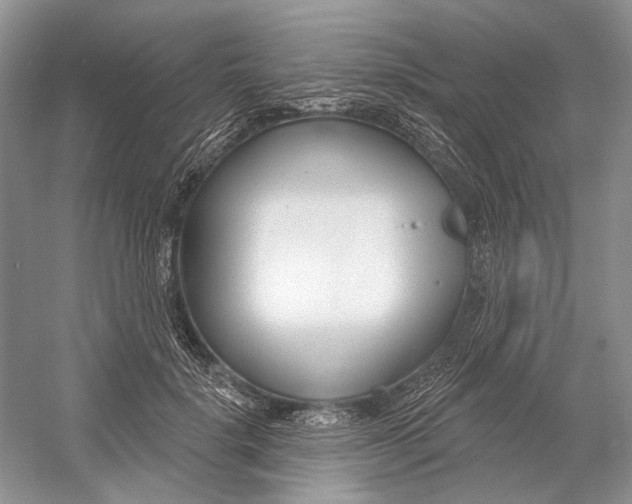 X0000052940652200508050857